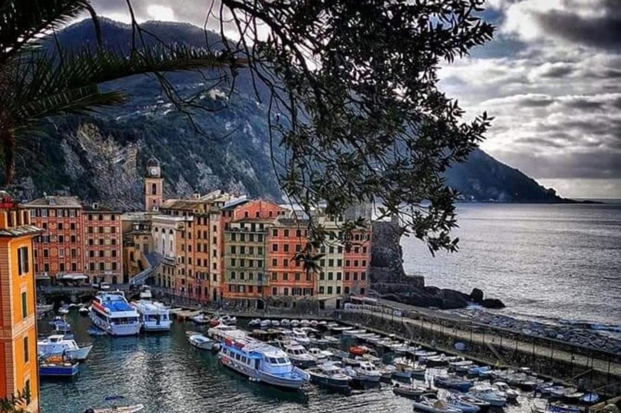 Rosablu Vacanza Tra Mare E Parco Di Portofino 카모글리 외부 사진