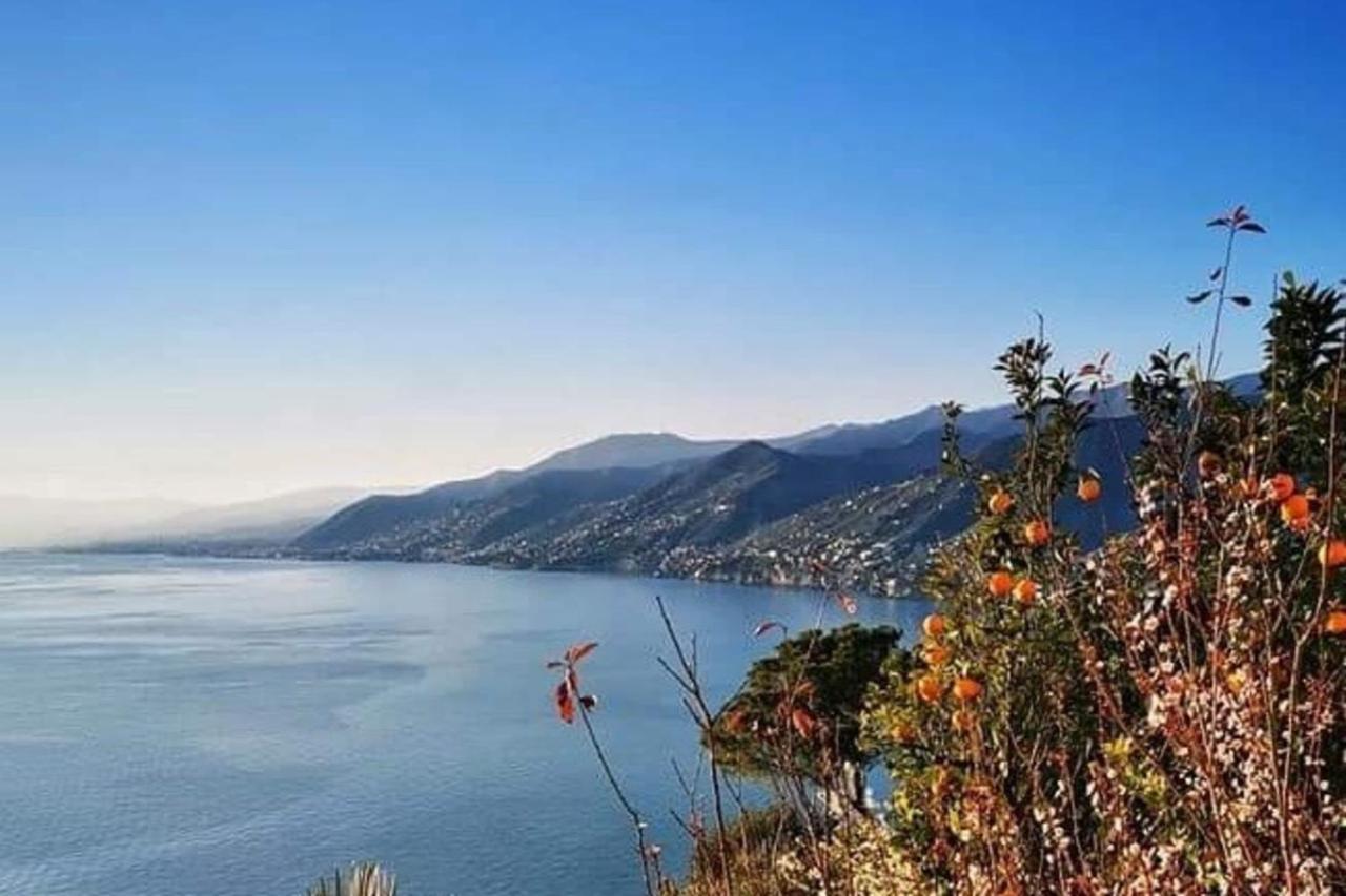 Rosablu Vacanza Tra Mare E Parco Di Portofino 카모글리 외부 사진