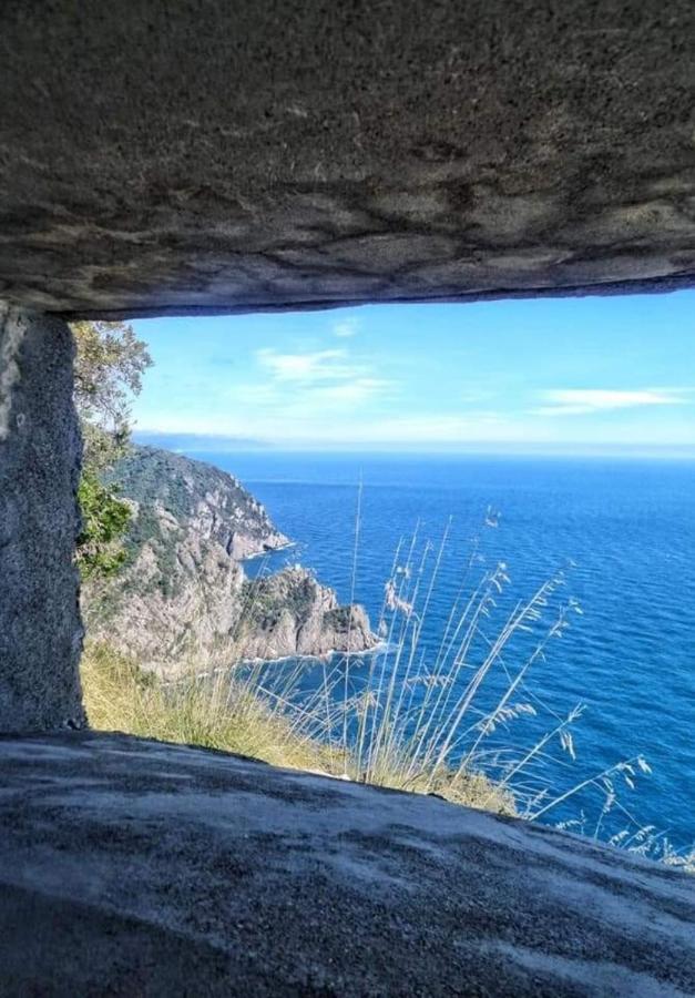 Rosablu Vacanza Tra Mare E Parco Di Portofino 카모글리 외부 사진