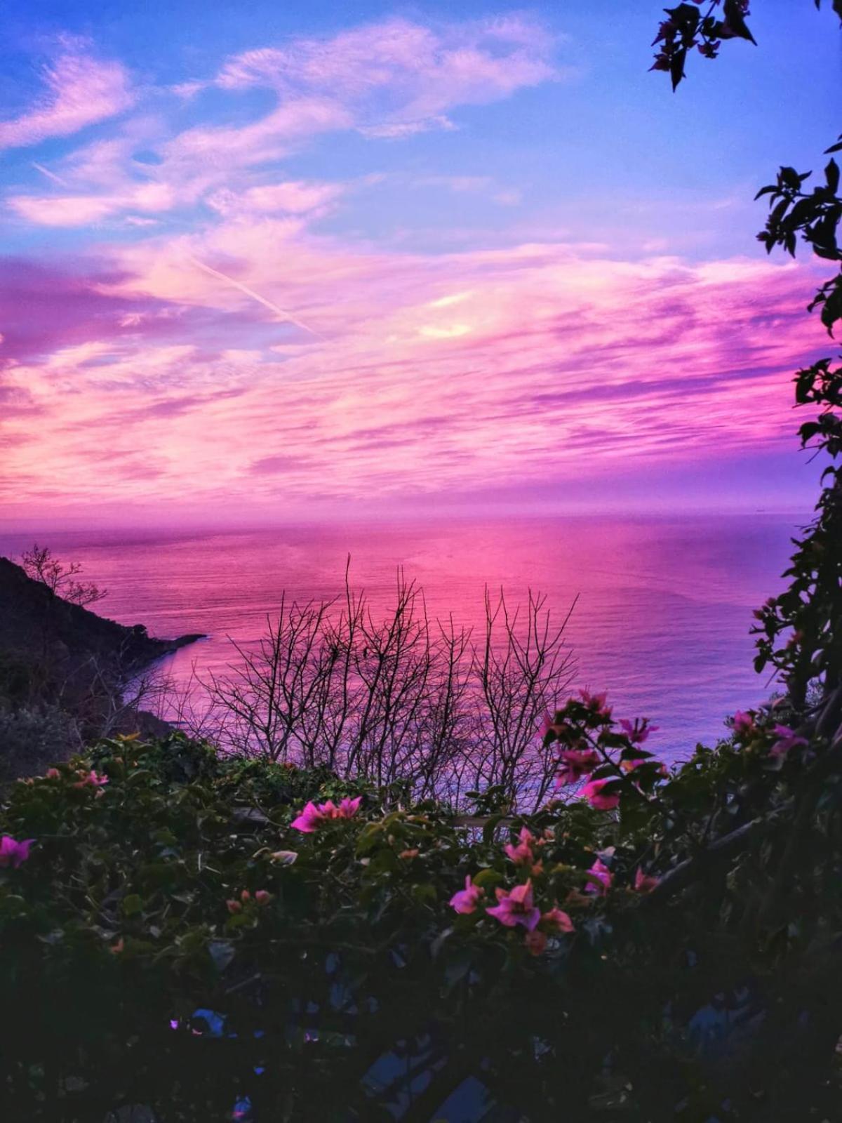 Rosablu Vacanza Tra Mare E Parco Di Portofino 카모글리 외부 사진